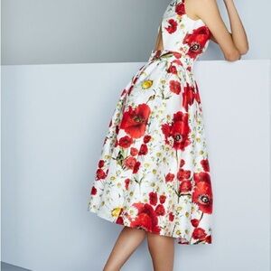 Dolce & Gabbana Poppy Floral Open Back Dress | Sleeveless | Made in Italy